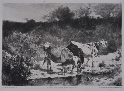Vaches aux bords d'un ruisseau -...