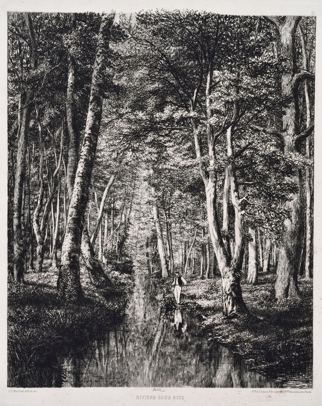 Rivière sous bois - Árnyas patakpart