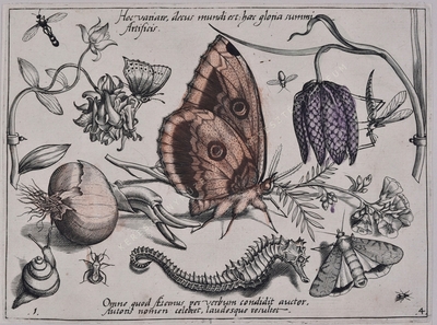 Archetypa studiaque patris Georg...
