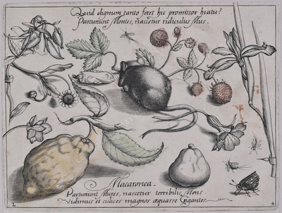 Archetypa studiaque patris Georg...