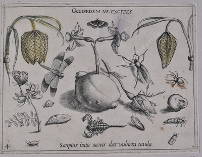Archetypa studiaque patris Georg...