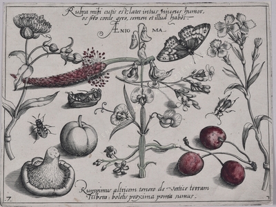 Archetypa studiaque patris Georg...