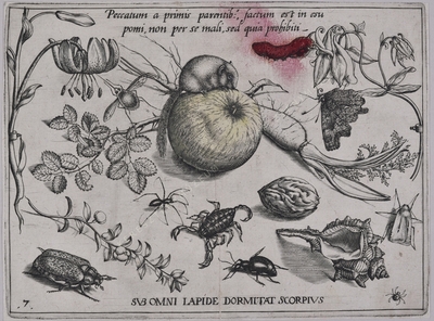 Archetypa studiaque patris Georg...