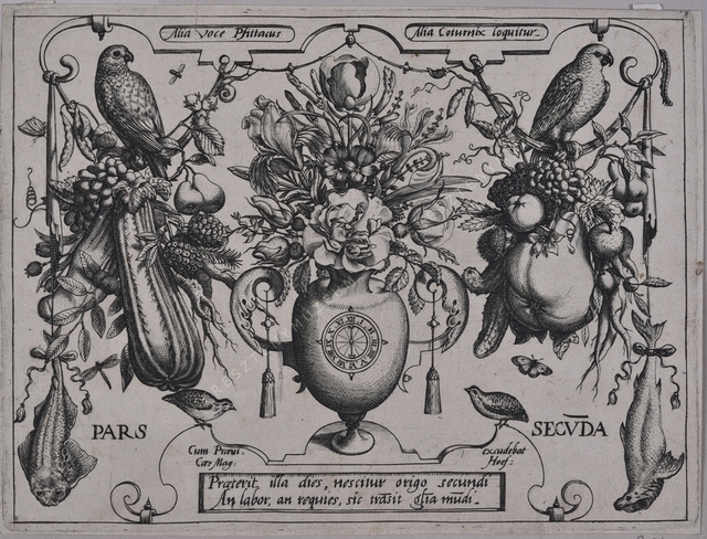 Archetypa studiaque patris Georgii Hoefnagelii