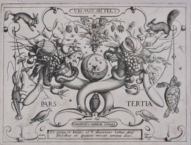 Archetypa studiaque patris Georgii Hoefnagelii