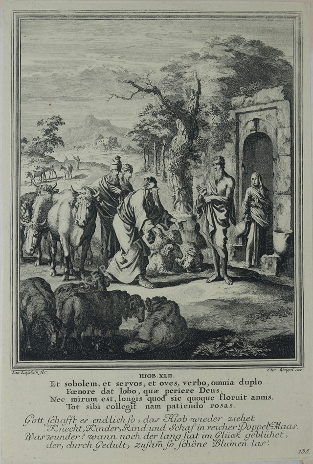 Jób megjutalmazása