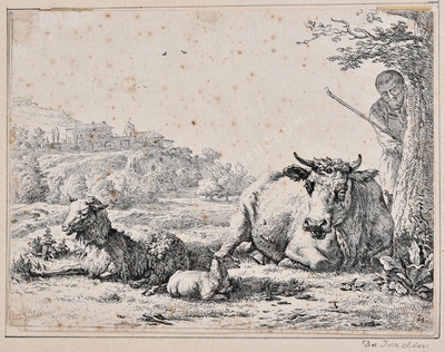 Tájkép pihenő tehénnel és juhokk...