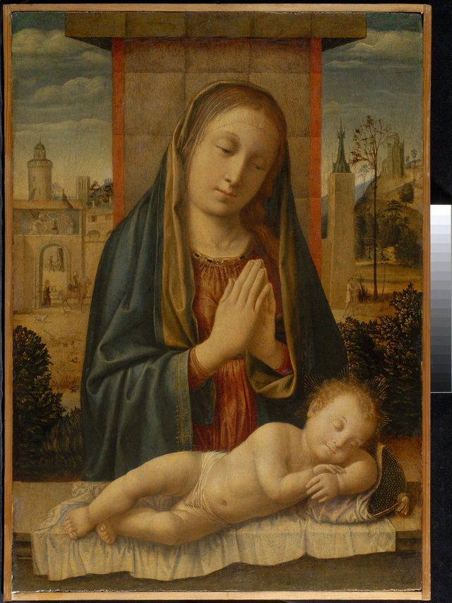 Madonna with Sleeping Child