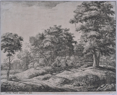 Kis dombon alvó pásztor