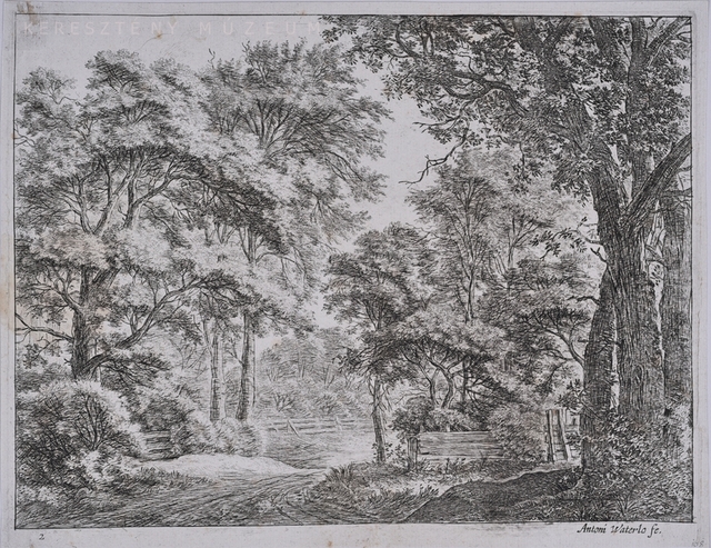 Frissen kivágott erdőrészlet