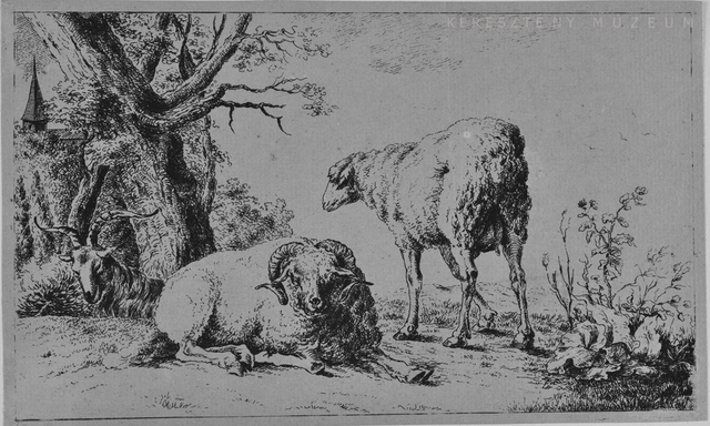 Kos, juh, és kecskebak