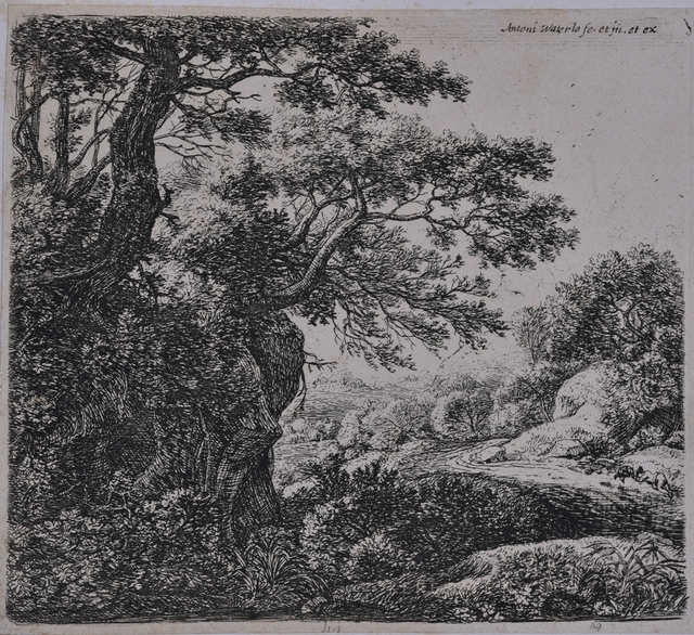 Út szélén alvó férfi