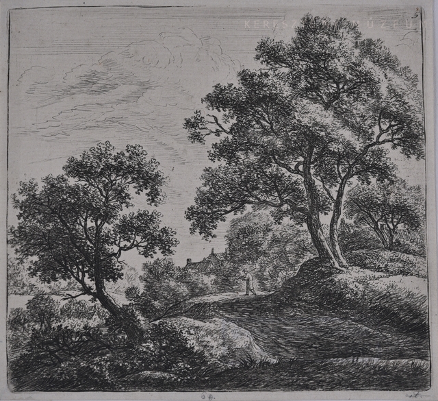 Paraszt a széles úton